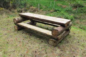 Picnic bench restored